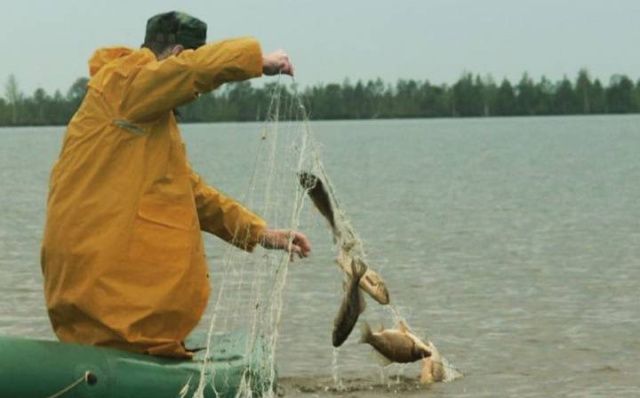 С 20 сентября вводится запрет сетного вылова рыб
