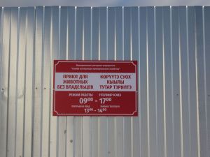 Приют для безнадзорных животных открылся в Покровске