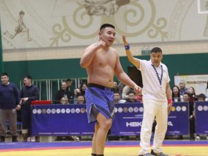 Борцы Тимур Николаев и Никита Софронов завоевали титулы абсолютных чемпионов турнира Ноговицыных