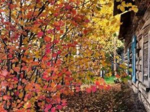 Прогноз погоды в Якутске на среду, 18 сентября