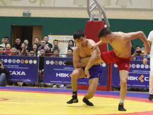 Борцы Тимур Николаев и Никита Софронов завоевали титулы абсолютных чемпионов турнира Ноговицыных