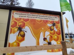 Иппотерапия и отдых в апидомиках: семья из Вилюйского района открыла уникальную экоферму