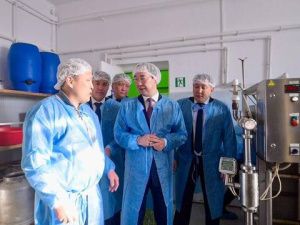 Пищекомплекс СППК «Амма» в прошлом году произвёл 875 тонн цельномолочной продукции