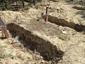 Контроль за работами, ровные ряды и благоустройство территории: что изменится на кладбищах Якутска