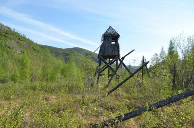 В Томпонском районе в тайге пропал ребенок