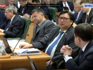 Как-то неловко за наших «випов» в Совете Федерации