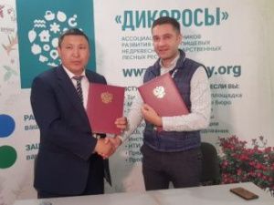 Якутский кооператив дикоросов в этом году планирует продать 90 тонн брусники