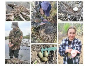 Завершен второй сезон сетевого проекта "Научное лето онлайн 2021"