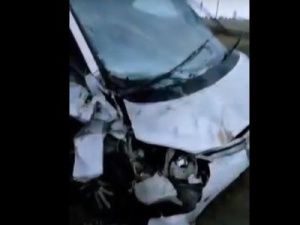 В Якутии автомобиль сбил лошадь насмерть и вылетел с дороги