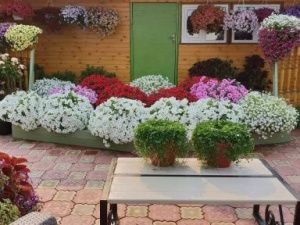 И эта красота в селе Маар Нюрбинского района