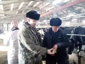 С муниципального животноводческого комплекса потребовали взыскать 82 млн рублей в счет возмещения вреда экологии