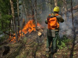50 десантников из Якутии тушат леса Хабаровского края