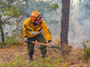 На тушении пожаров задействованы 1 795 человек и 205 единиц техники