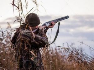 Как получить разрешение на весеннюю охоту