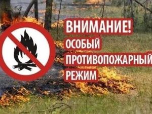 Особый противопожарный режим введен в 18 районах республики