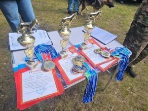 В Якутске прошли соревнования среди служебных собак