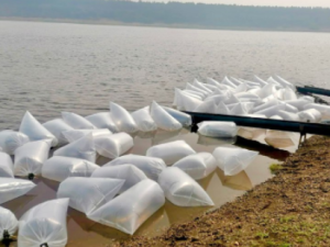 На Чернышевском рыбоводном заводе на 2024 год заготовлено 45 млн икринок для зарыбления