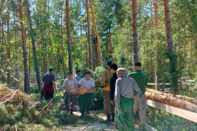 В зоопарке «Орто Дойду» в Якутии ведутся восстановительные работы после разбушевавшейся стихии