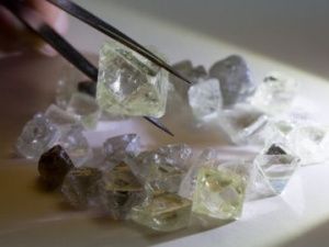 АЛРОСА выручила $6,5 млн на аукционе во Владивостоке