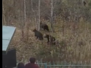 Переполох в Хандыге: детей не выпускают из школ