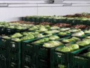 Мошенник вовлек в свою схему работников учреждений арктических улусов