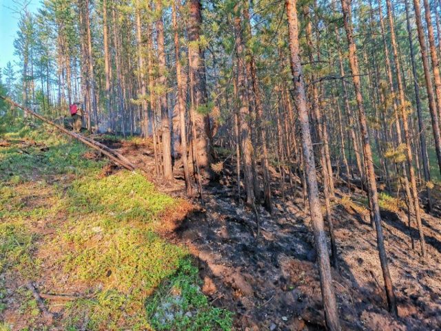 Вблизи села Арылах ликвидирован лесной пожар