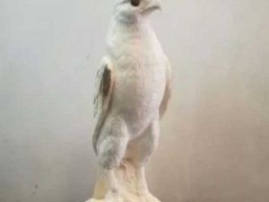 Работу якутского мастера-костореза продают за полмиллиона рублей