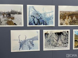 Эвенские костюмы, шахматы из костей оленя: в Якутске открылась выставка мастера Елизаветы Потаповой