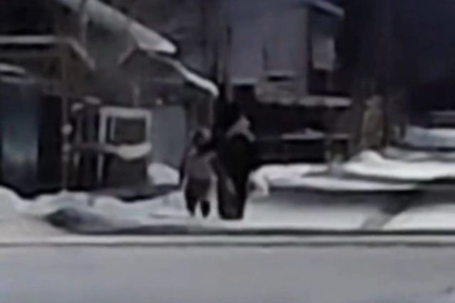 МВД по Якутии: конфликт на видео, распространившемся в соцсетях, произошел между сестрами