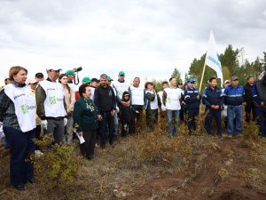 Сохраним лес: В пригороде Якутска высадили более тысячи саженцев деревьев