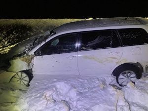 В Нюрбинском районе автомобиль столкнулся с лошадью. Животное погибло