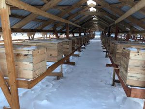 В селе Иенгра Нерюнгринского района открылась звероферма