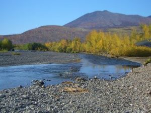 Развитие туризма в Арктике обсудят участники деловой программы Международного фестиваля «Берингов пролив»