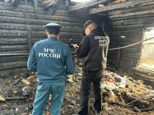 По факту гибели на пожаре пенсионерки и трехлетнего ребенка возбуждено уголовное дело