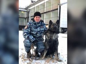 В Якутии полицейская собака помогла выйти на след грабителей магазина