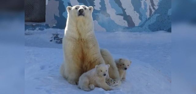 Зоопарку «Орто-Дойду» исполнилось 25 лет