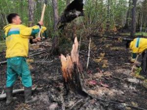В Якутии тушат 20 лесных пожаров