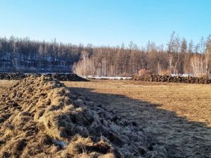 Семен Потапов: «Нужно прервать деградацию неиспользуемых земель!»