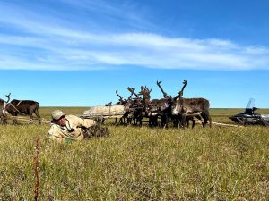 Оленевод с 28-летним стажем Роман Туприн: «Мы приобщаем детей к оленеводству с малого возраста»