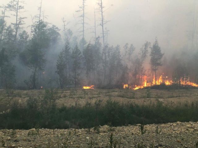 Противопожарная бригада АО «АК «ЖДЯ» полностью ликвидировла пожар в районе станции Олень