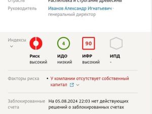 АЛЕКСАНДР ИВАНОВ: ДЕПУТАТ СТАЛ ПРЕДАТЕЛЕМ ИЗ-ЗА БАНКРОТСТВА?