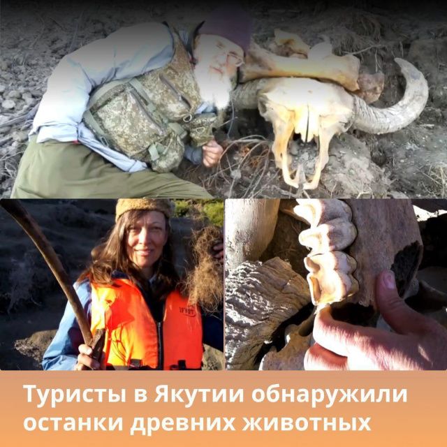 Участники конкурса  «Дальний Восток – Земля приключений» нашли останки древних животных в Якутии