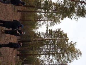 Проект МинАрктики Якутии и Новосибирского государственного технического университета – для решения проблемы связи в Арктике