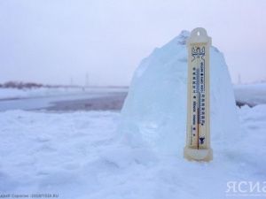 В Якутии «моржи» открыли сезон купания в проруби