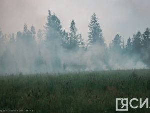 85 лесных пожаров зарегистрировано в Якутии