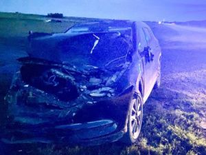 В Якутии автоледи сбила табун лошадей, одно животное погибло