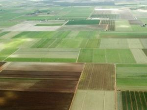 «Дальневосточный гектар» можно будет получить в собственность досрочно