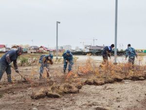 Молодые сотрудники УФСИН высадили саженцы в парке Победы Якутска