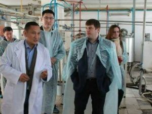 Якутия и Амурская область будут сотрудничать в сфере сельского хозяйства