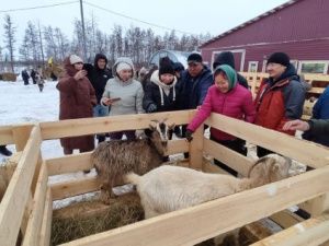 Еще одна точка на туристической карте Якутии: экоферма «Люксюгюн» семьи Ионовых